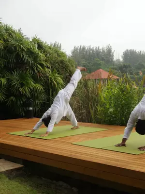 Yoga retreat Phuket activity