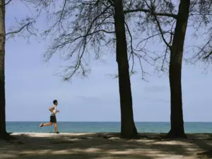 Dawn Run Veya Wellbeing Activity