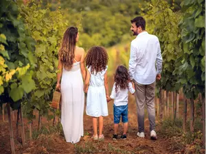 Family Getaway Banyan Tree Veya Valle de Guadalupe