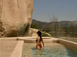 Super Saver Offer Banyan Tree Veya Valle de Guadalupe