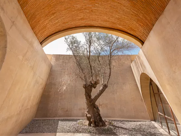 Pictograma_Winery-Banyan_Tree_Veya-Valle_de_Guadalupe-05.jpg