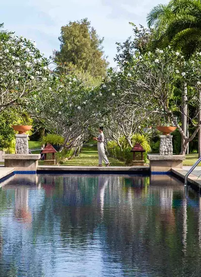 beautiful pool with greeneries